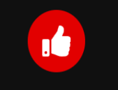 100% Customer Satisfaction